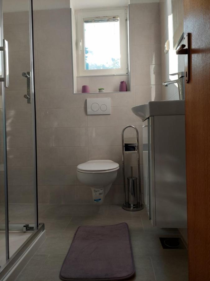 Apartman Lucija Seline Zewnętrze zdjęcie