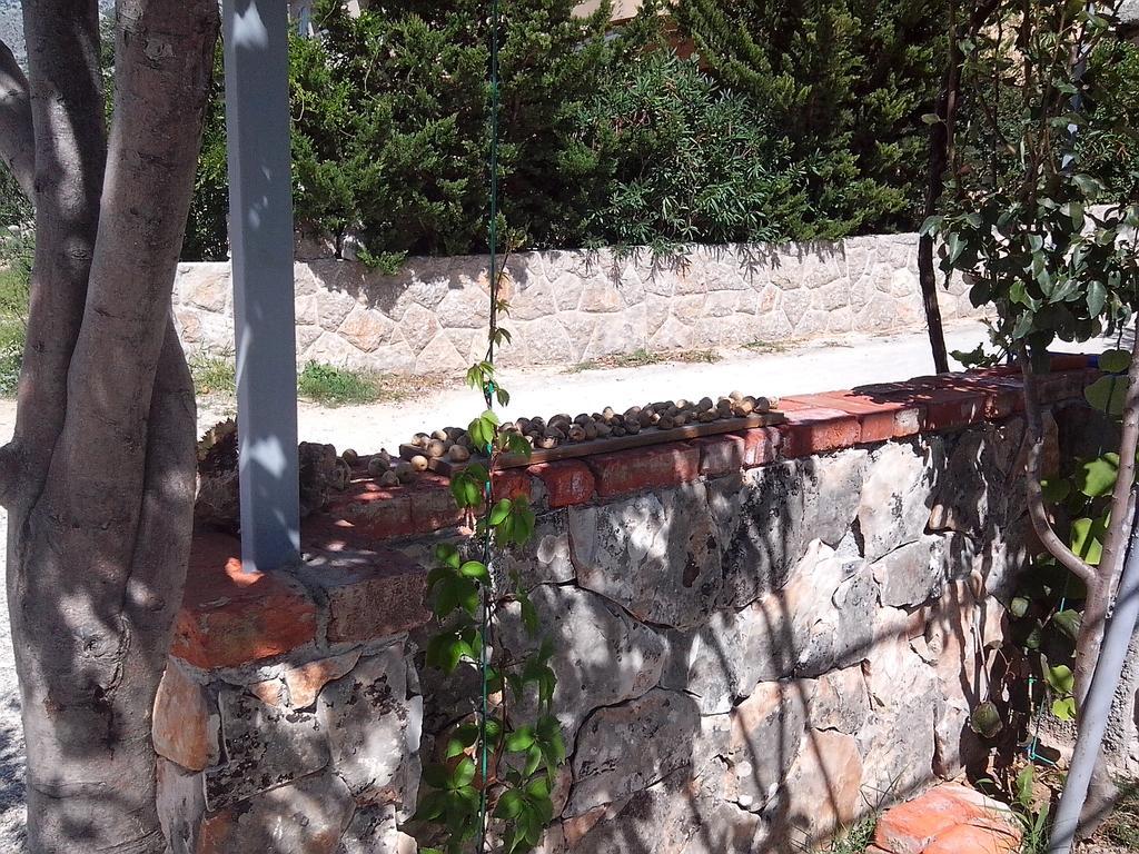 Apartman Lucija Seline Zewnętrze zdjęcie